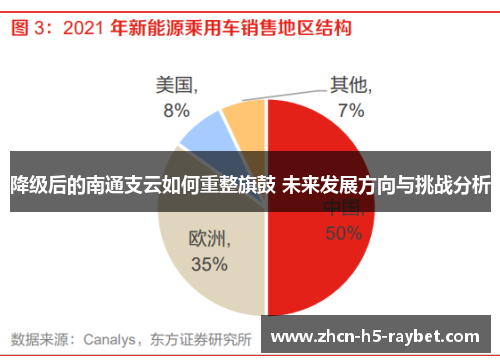 降级后的南通支云如何重整旗鼓 未来发展方向与挑战分析