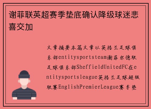 谢菲联英超赛季垫底确认降级球迷悲喜交加